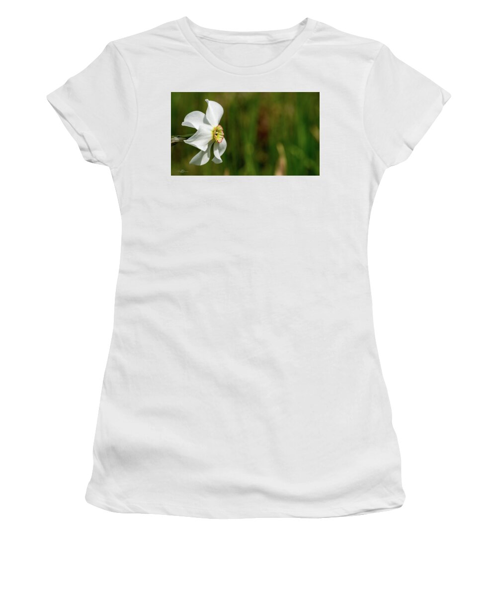 Narcissus Poeticus Women's T-Shirt featuring the photograph Pheasant's-eye daffodil by Torbjorn Swenelius