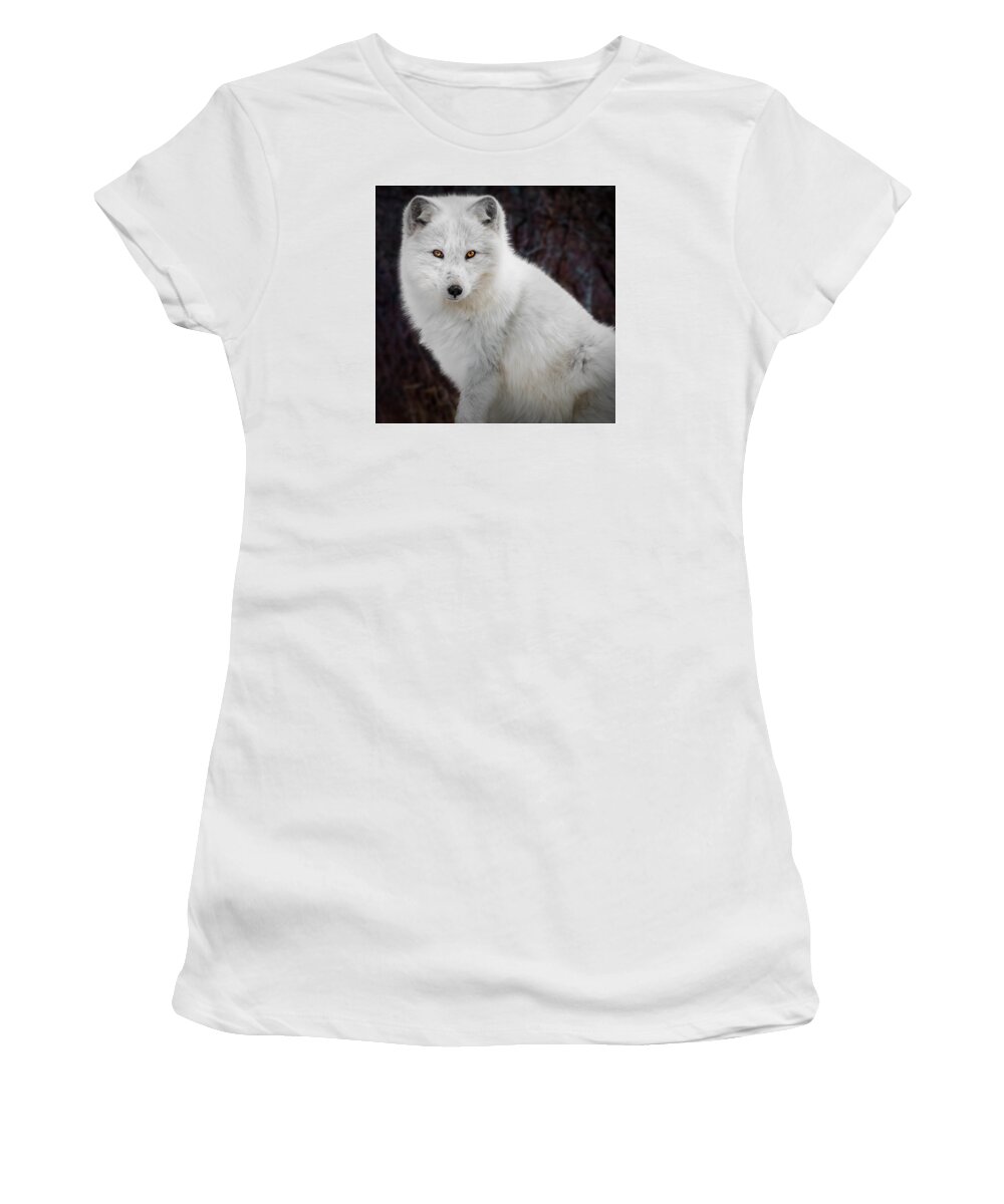 Fox Women's T-Shirt featuring the photograph Picture perfect by Sandy Roe