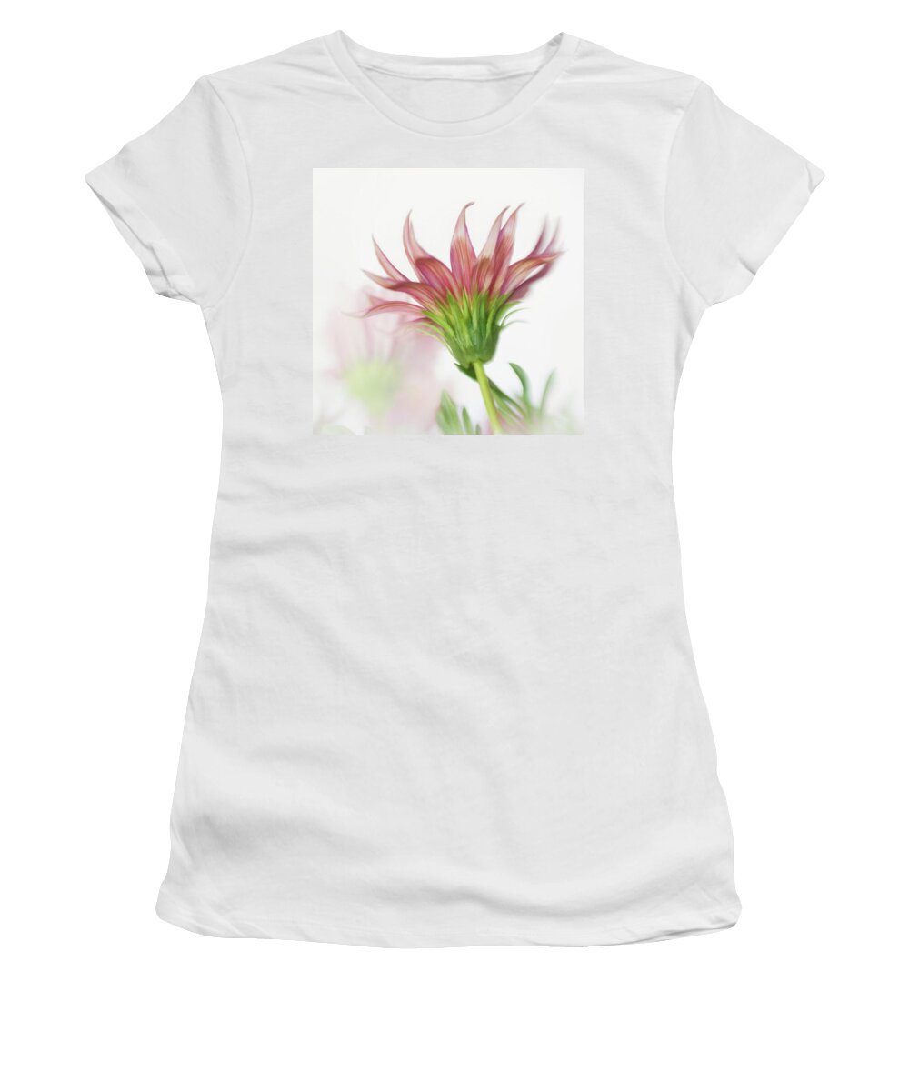 Bloom Women's T-Shirt featuring the photograph Pink Gazania Flames by David and Carol Kelly