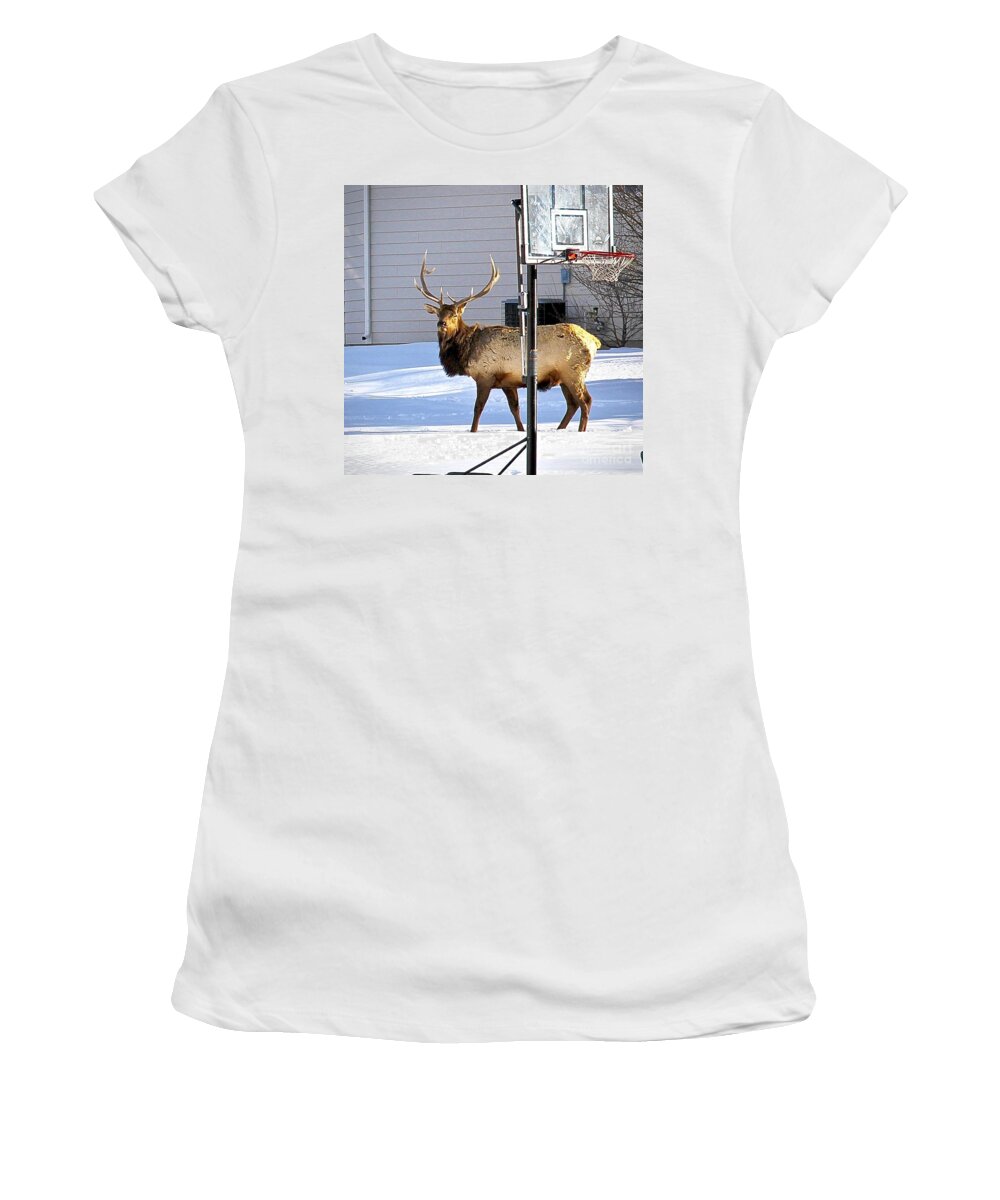 Wapiti Women's T-Shirt featuring the photograph He wants to Play? by Elisabeth Derichs