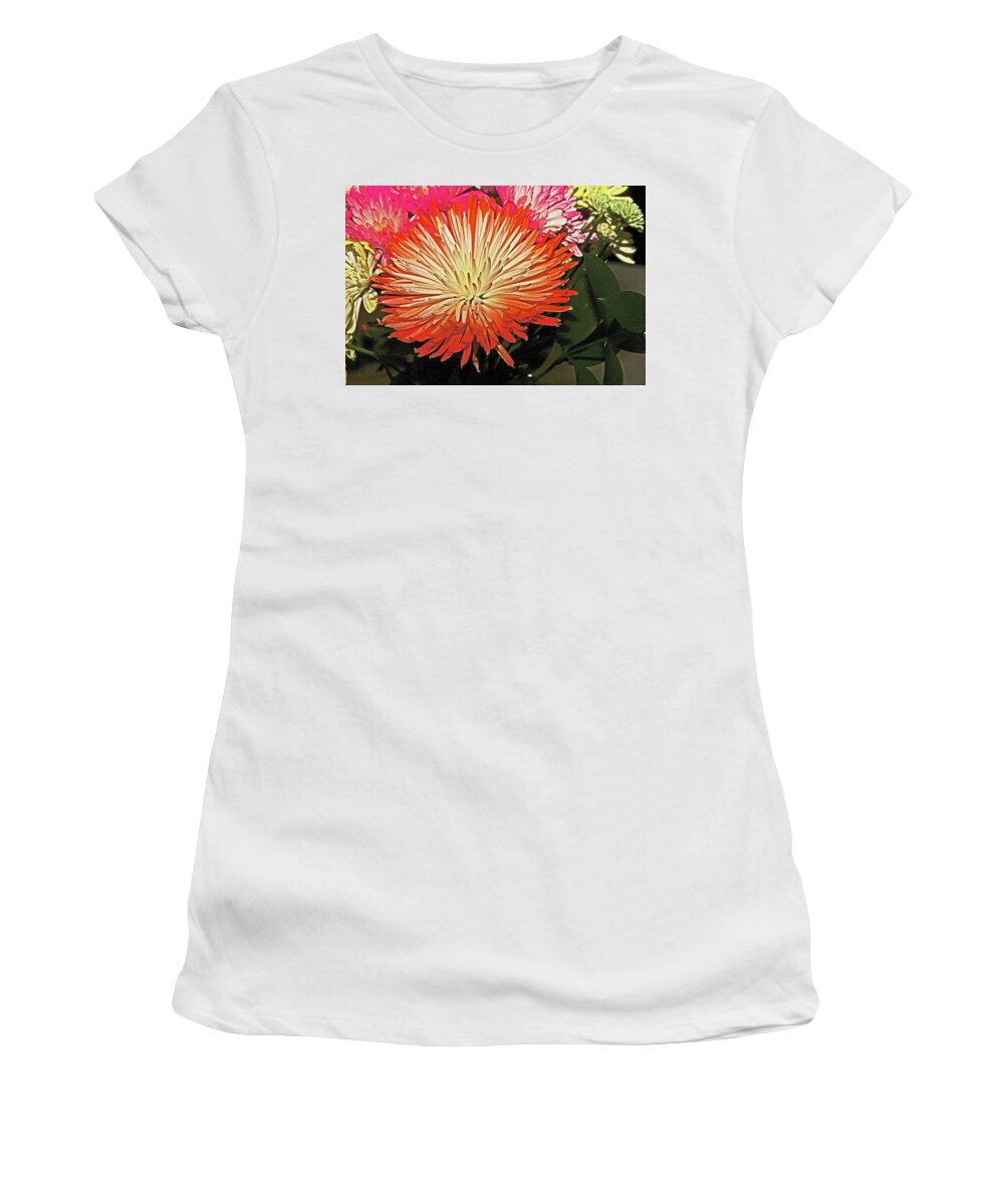 Pom Pom Daisy Women's T-Shirt featuring the photograph Pom Pom Daisy, oranges, yellows and browns, foliage 2 1132017 by David Frederick