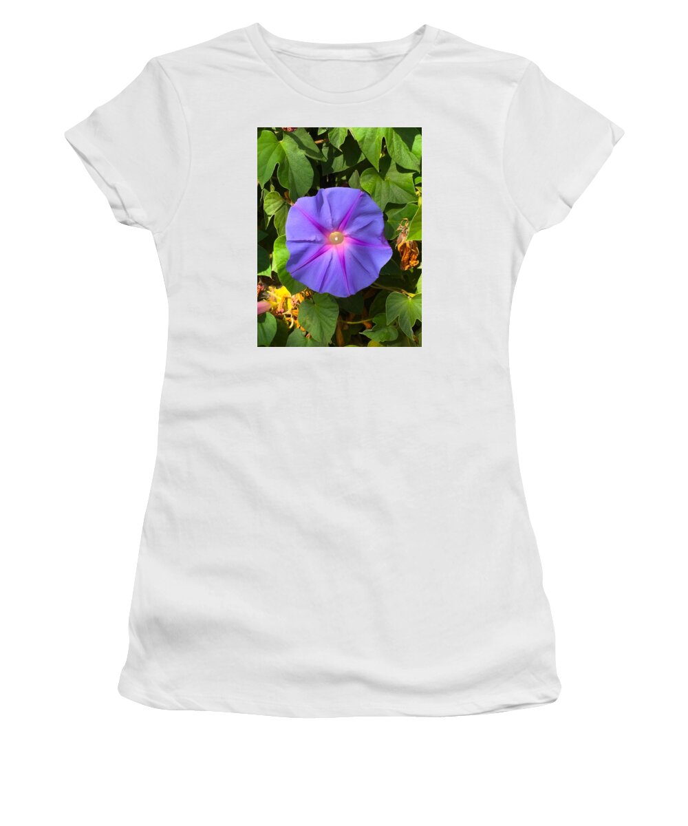 Fauna Women's T-Shirt featuring the photograph Purple Star by Brad Hodges