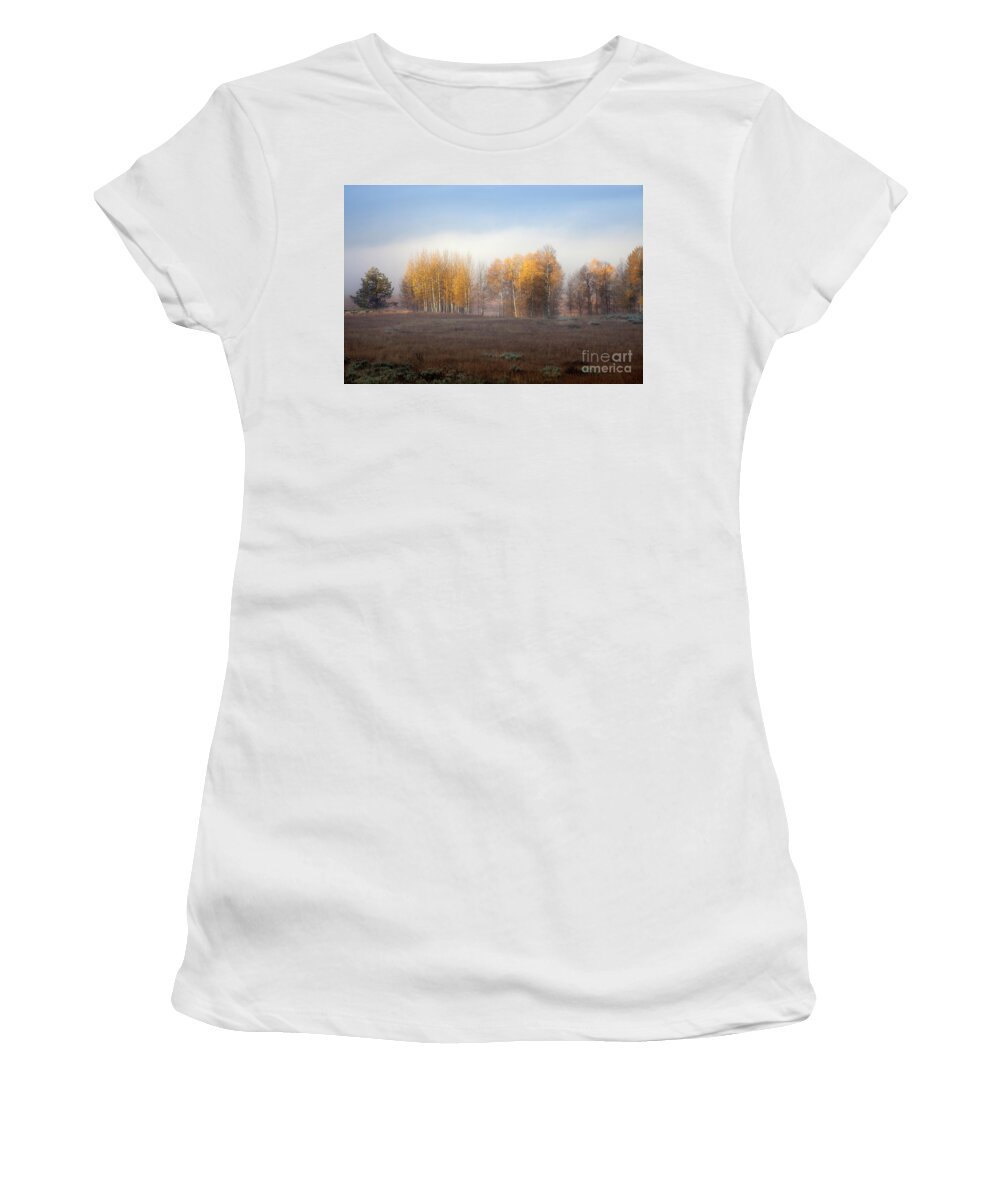 Aspen Tree Women's T-Shirt featuring the photograph Quaking Aspen Trees at Dawn, Grand Teton National Park, Wyoming by Greg Kopriva