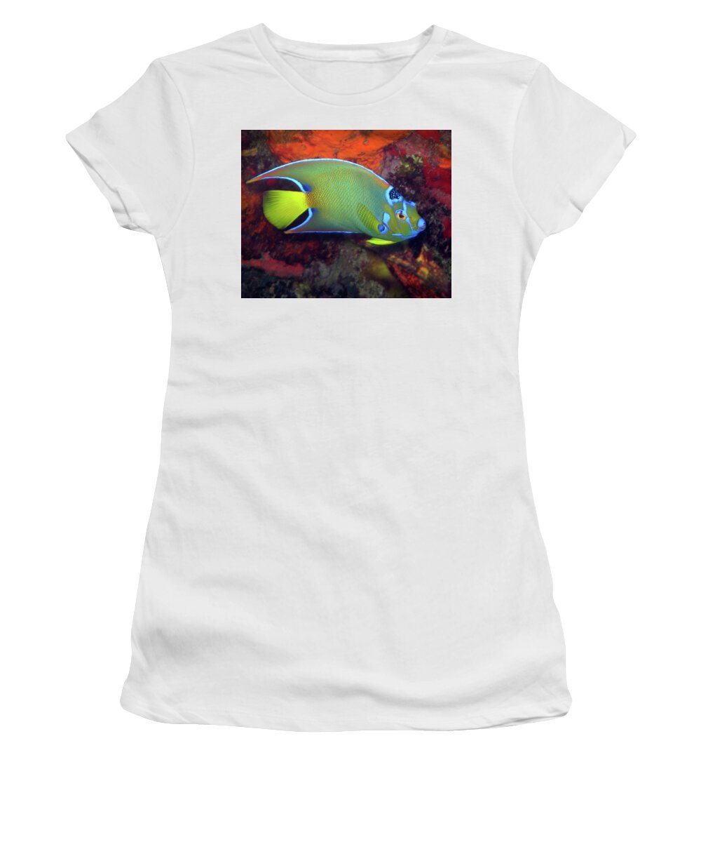 Queen Angelfish Women's T-Shirt featuring the photograph Queen Angelfish, U. S. Virgin Islands 2 by Pauline Walsh Jacobson