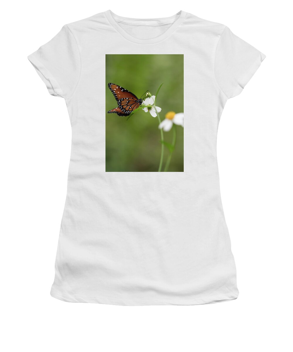 Butterfly Women's T-Shirt featuring the photograph Queen Drinking Nectar by Artful Imagery