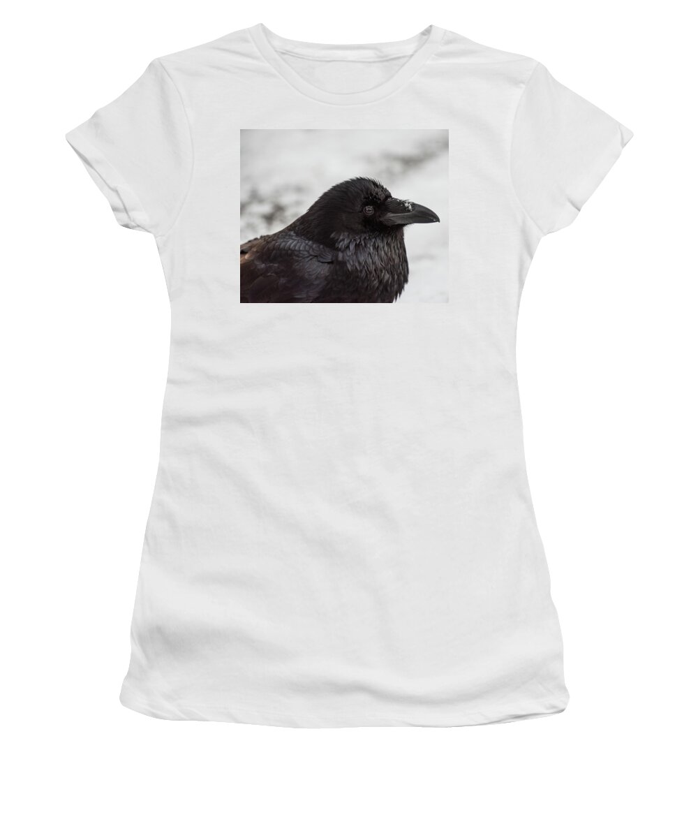 Raven Women's T-Shirt featuring the photograph Raven by David Kirby