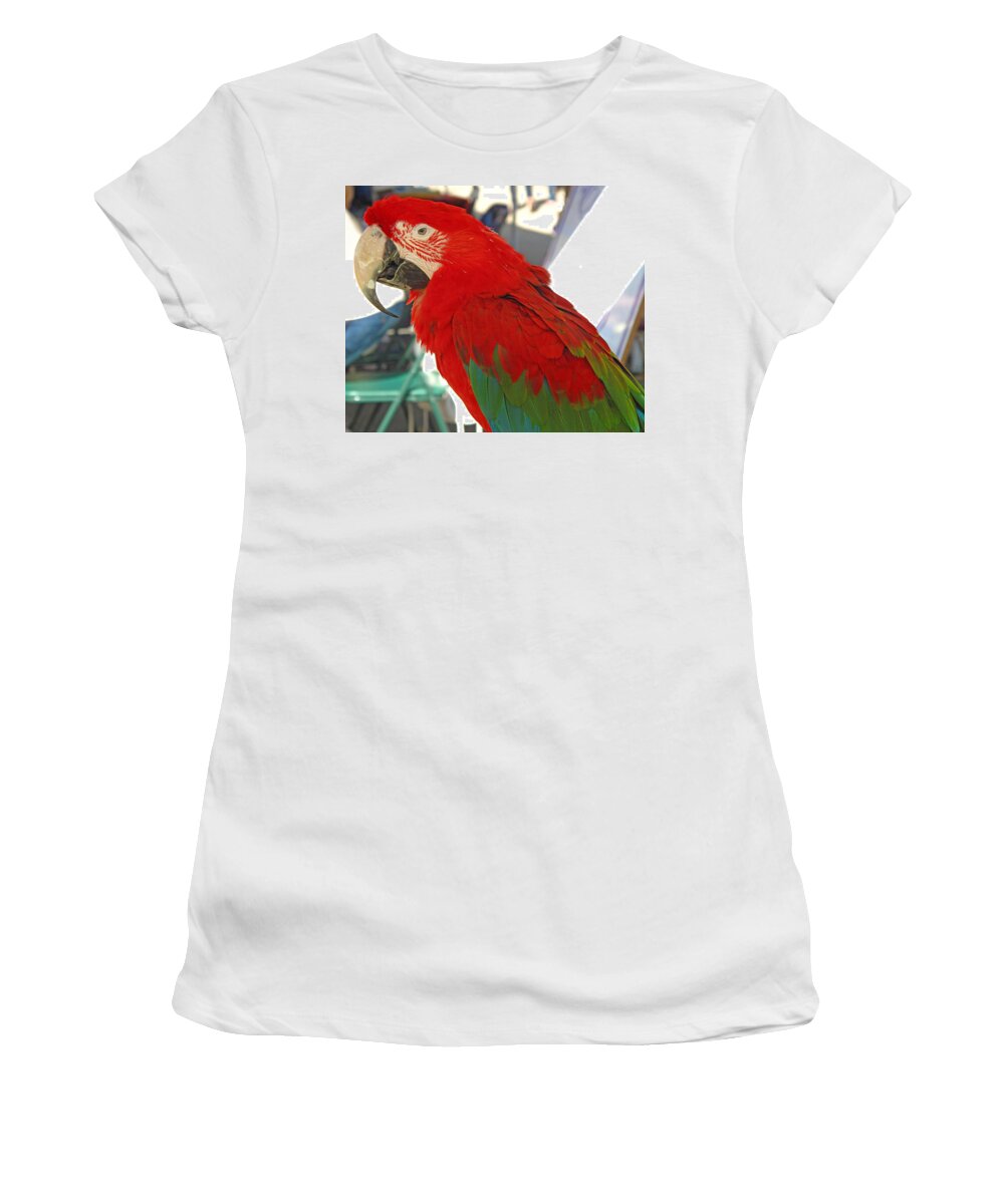 Parrot Women's T-Shirt featuring the photograph Red Head by Barbara McDevitt