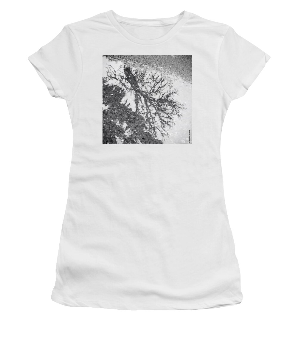 Beautiful Women's T-Shirt featuring the photograph #reflecting On Another #austin Flood by Austin Tuxedo Cat