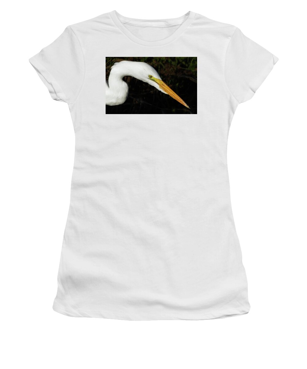 Ridgefield Egret Women's T-Shirt featuring the photograph Ridgefield Egret by Wes and Dotty Weber