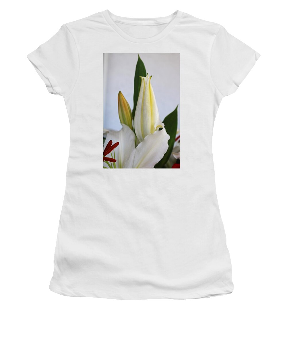 Nature Women's T-Shirt featuring the photograph Roll the Dice by Michiale Schneider