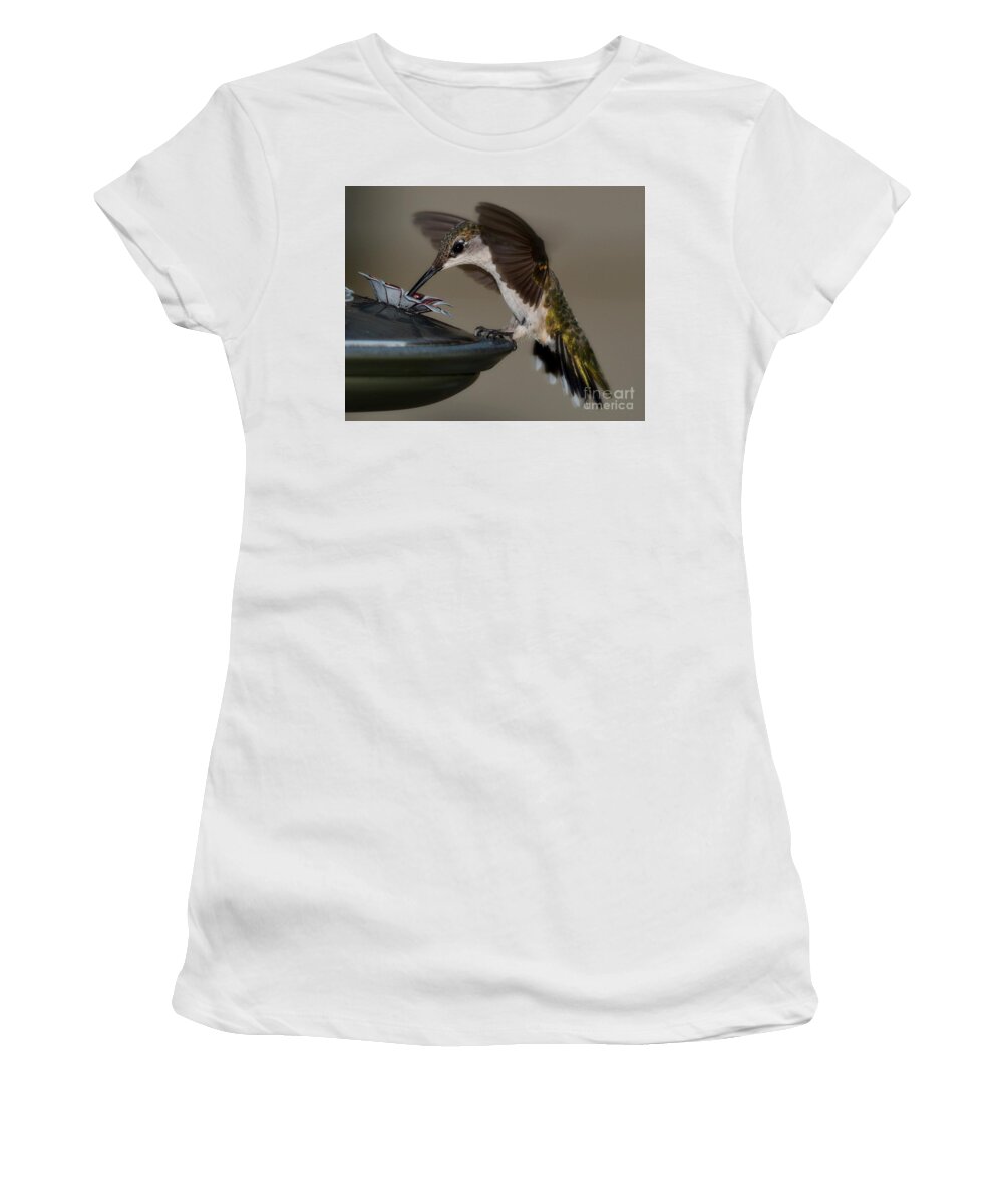 Birds Women's T-Shirt featuring the photograph Ruby - Throated Hummingbird by Steve Brown