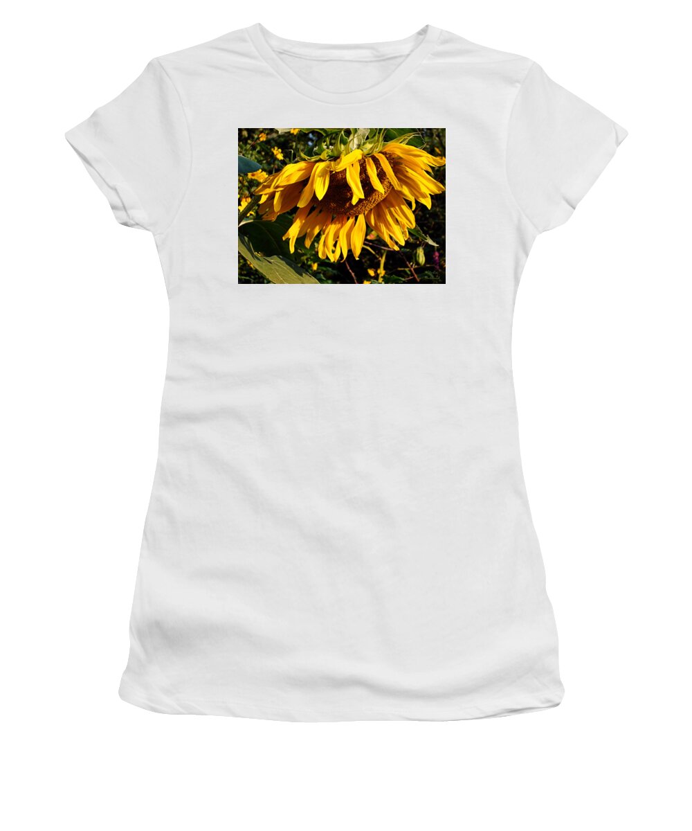 Sunflowers Women's T-Shirt featuring the photograph Russian Sunflower by Natalie Holland