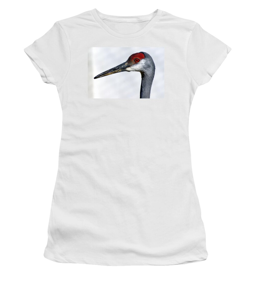 Birds Women's T-Shirt featuring the photograph Sandhill Crane by Marty Koch