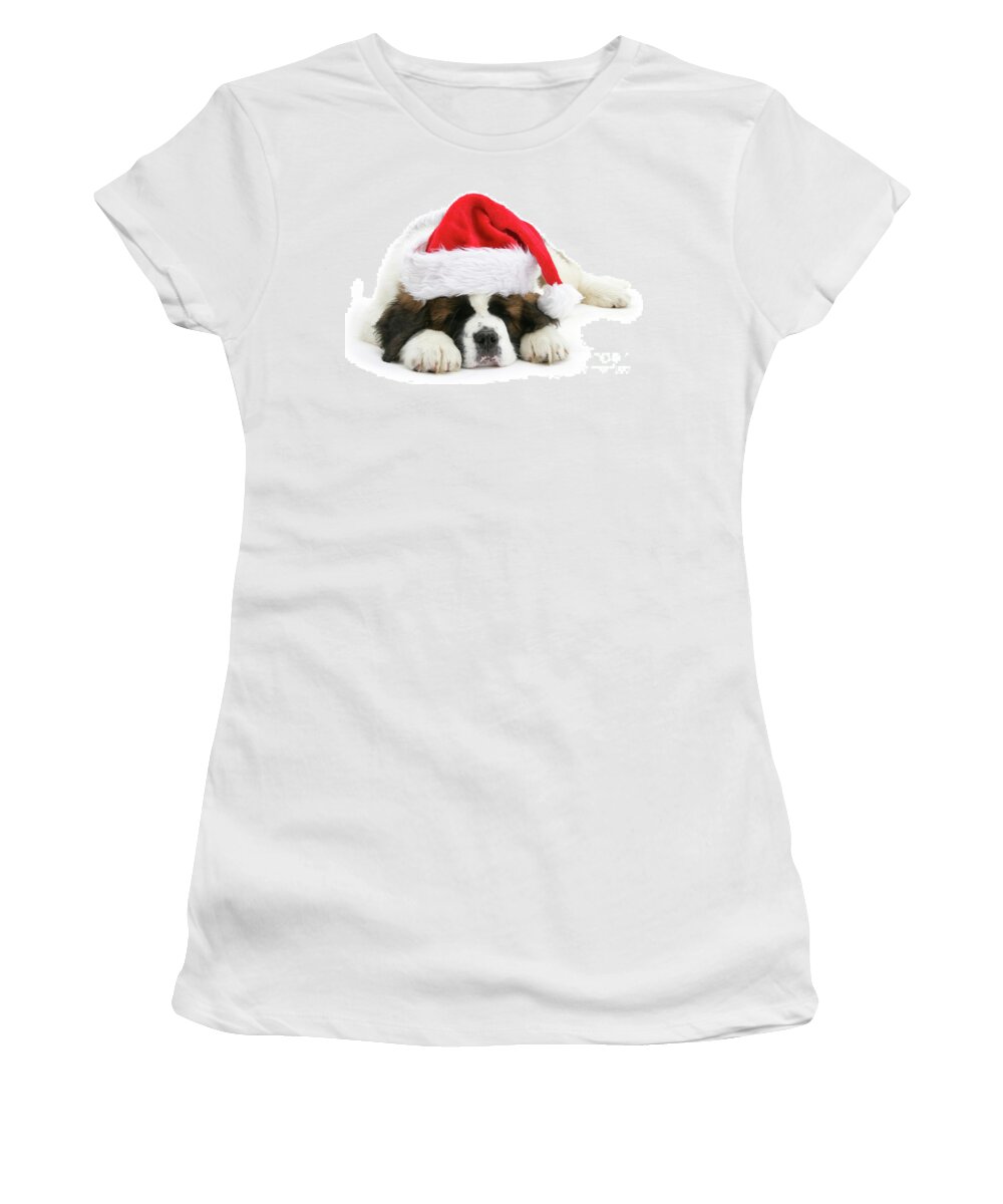 Saint Bernard Women's T-Shirt featuring the photograph Santa's Snoozing Saint Bernard by Warren Photographic