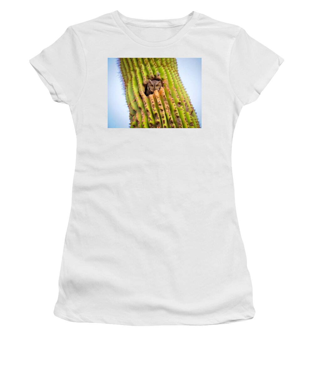Animals Women's T-Shirt featuring the photograph Screech Owl in Saguaro by Judy Kennedy