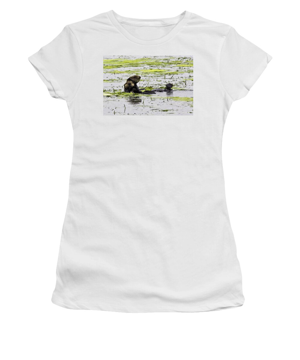 Sea Otter Women's T-Shirt featuring the photograph Sea Otters 1 by Paul Riedinger