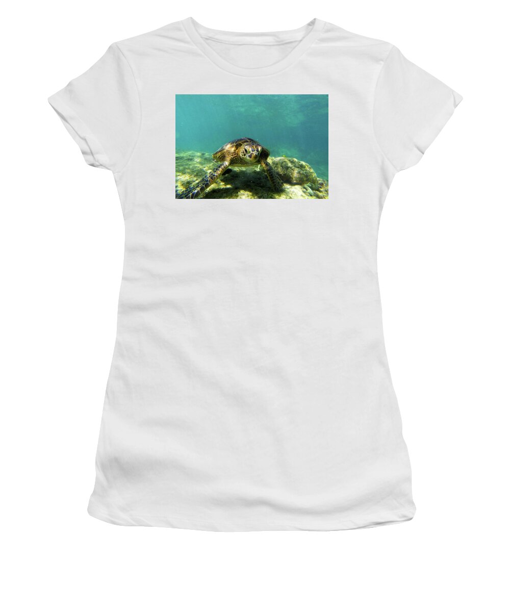 Sea Turtle Women's T-Shirt featuring the photograph Sea Turtle #3 by Anthony Jones