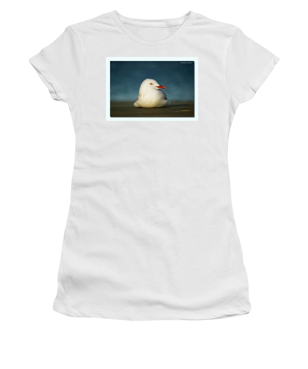 Seagulls Women's T-Shirt featuring the digital art Seagull Portrait 0021 by Kevin Chippindall