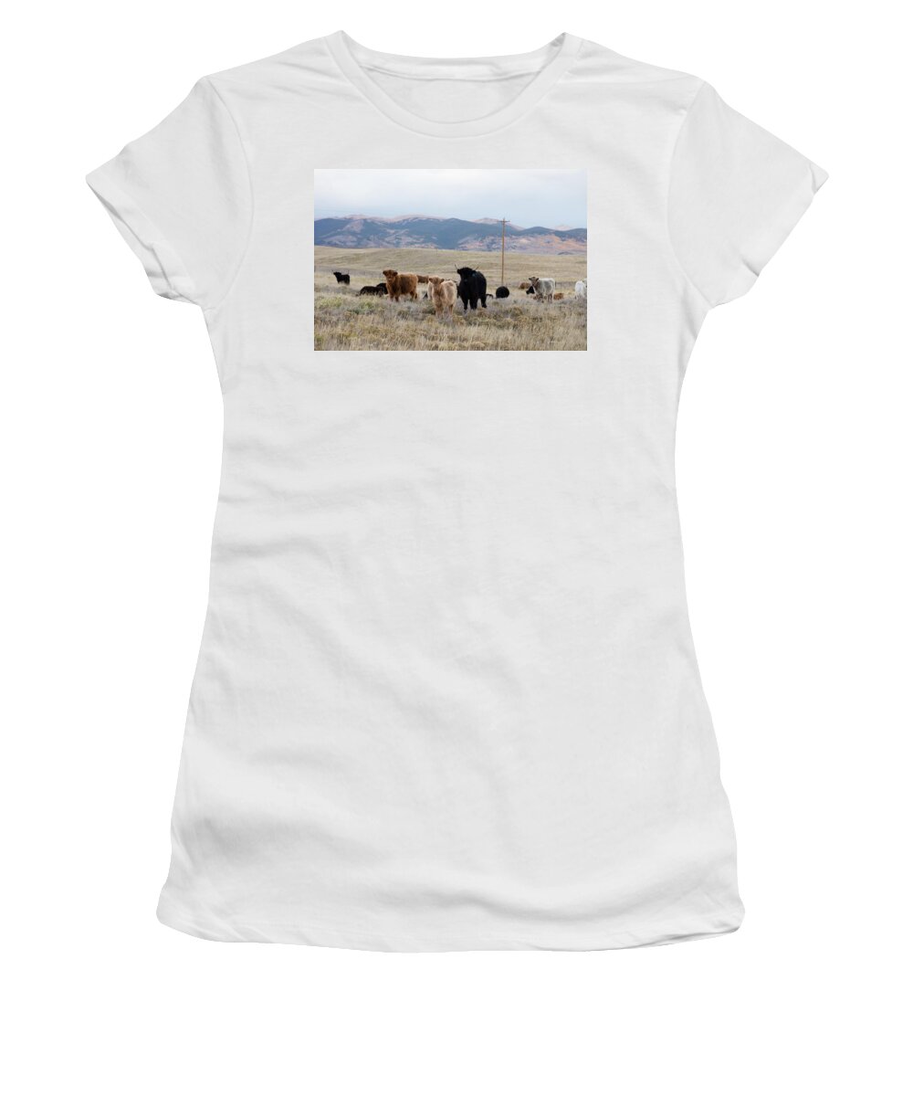 Carol M. Highsmith Women's T-Shirt featuring the photograph Shaggy-coated cattle near Jefferson by Carol M Highsmith