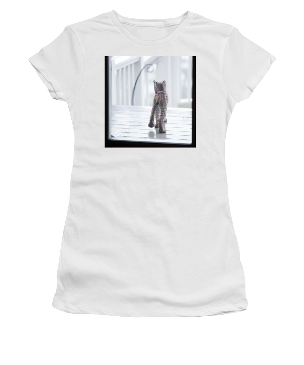 Lynx Women's T-Shirt featuring the photograph Shake It Off by Tim Newton