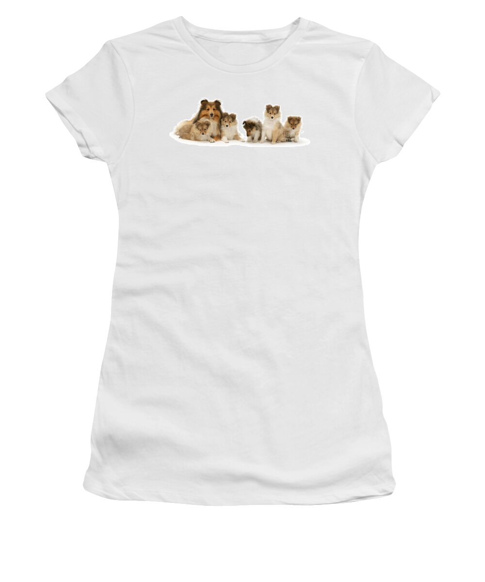 Shetland Sheepdog Women's T-Shirt featuring the photograph Shetland Sheepdog family by Warren Photographic