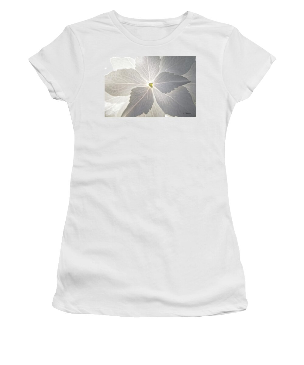 Flower Women's T-Shirt featuring the photograph Shooting Star by Christopher Holmes