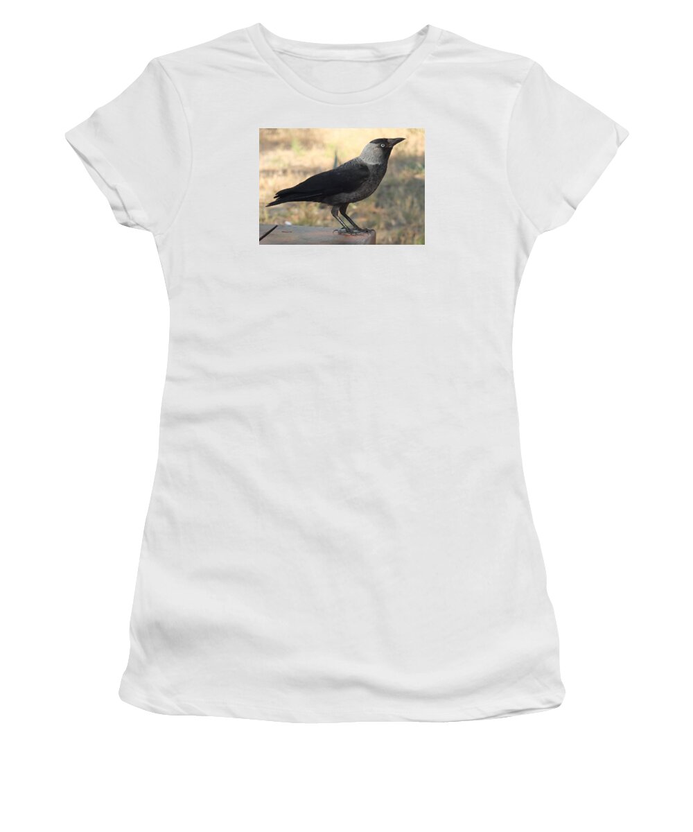 Western Women's T-Shirt featuring the photograph Side View Of A Wild Jackdaw by Taiche Acrylic Art
