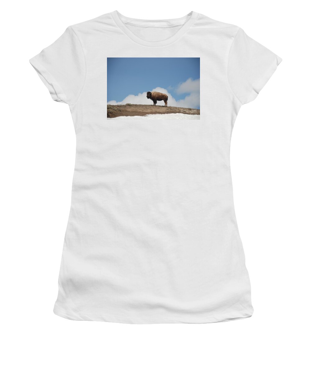 Bison Women's T-Shirt featuring the photograph Silhuette by Jim Goodman