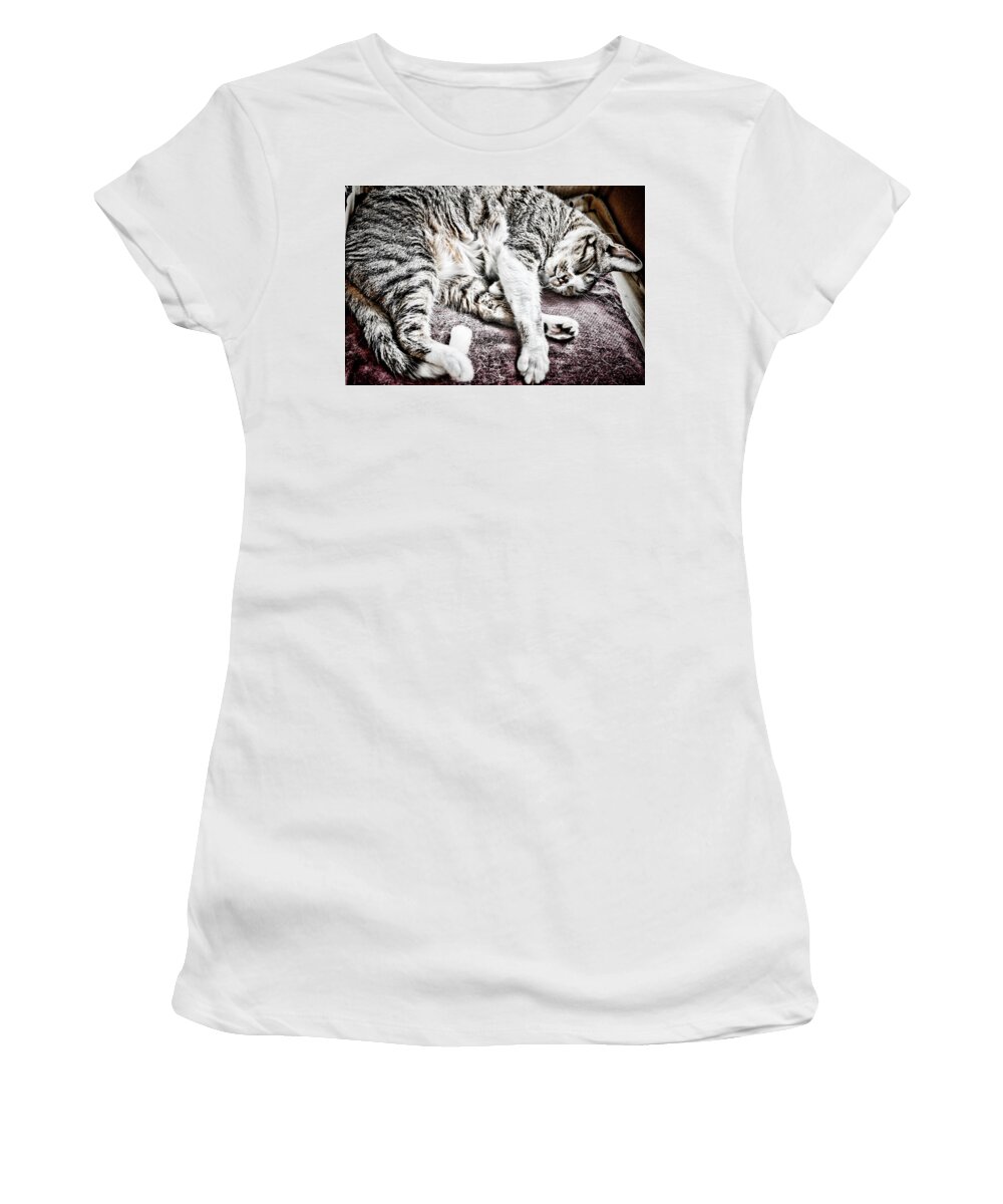 Cat Women's T-Shirt featuring the photograph Sleeping Cat by Sharon Popek