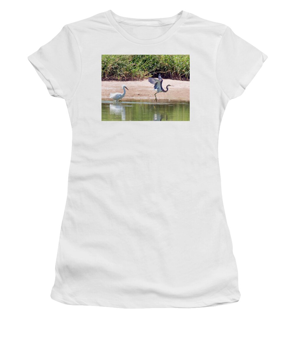 Snowy Women's T-Shirt featuring the photograph Snowy Egret Chasing Tricolored Heron by Tam Ryan