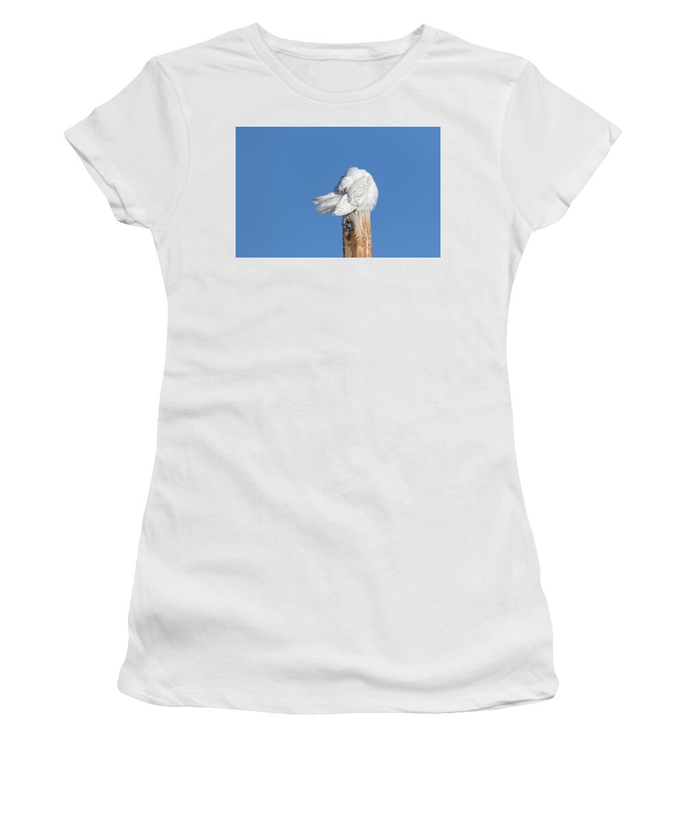 Snowy Owl Women's T-Shirt featuring the photograph Snowy Owl 2018-20 by Thomas Young