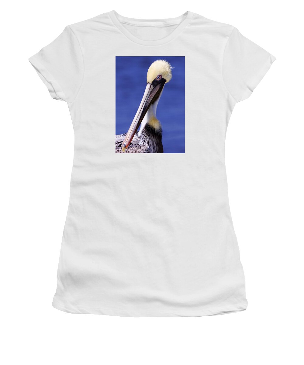 Southport Women's T-Shirt featuring the photograph Southport Pelican by Nick Noble