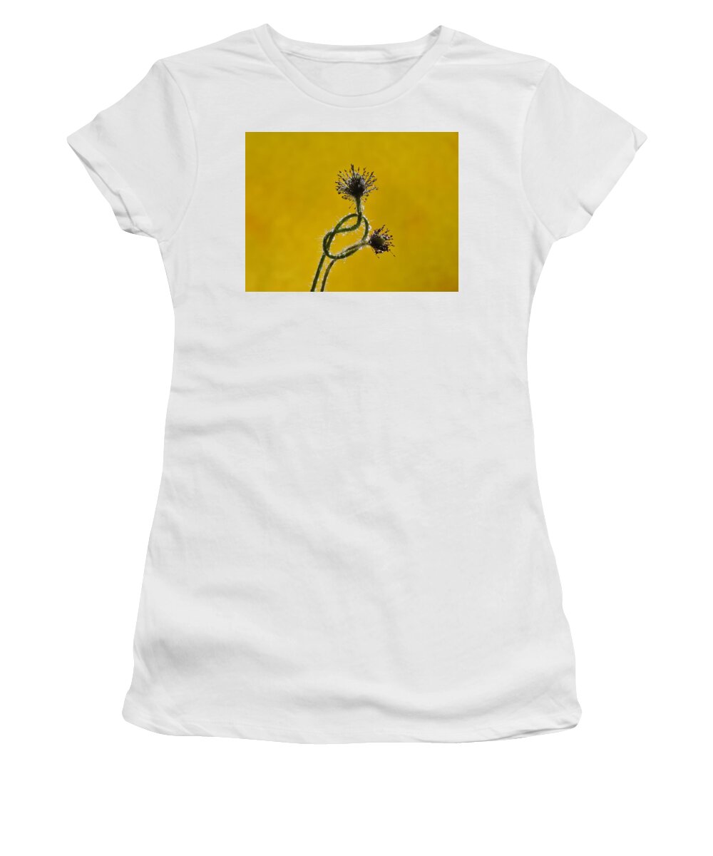 Sparkling Women's T-Shirt featuring the photograph Sparkling Yellow Knotted Poppy Pods by Barbara St Jean