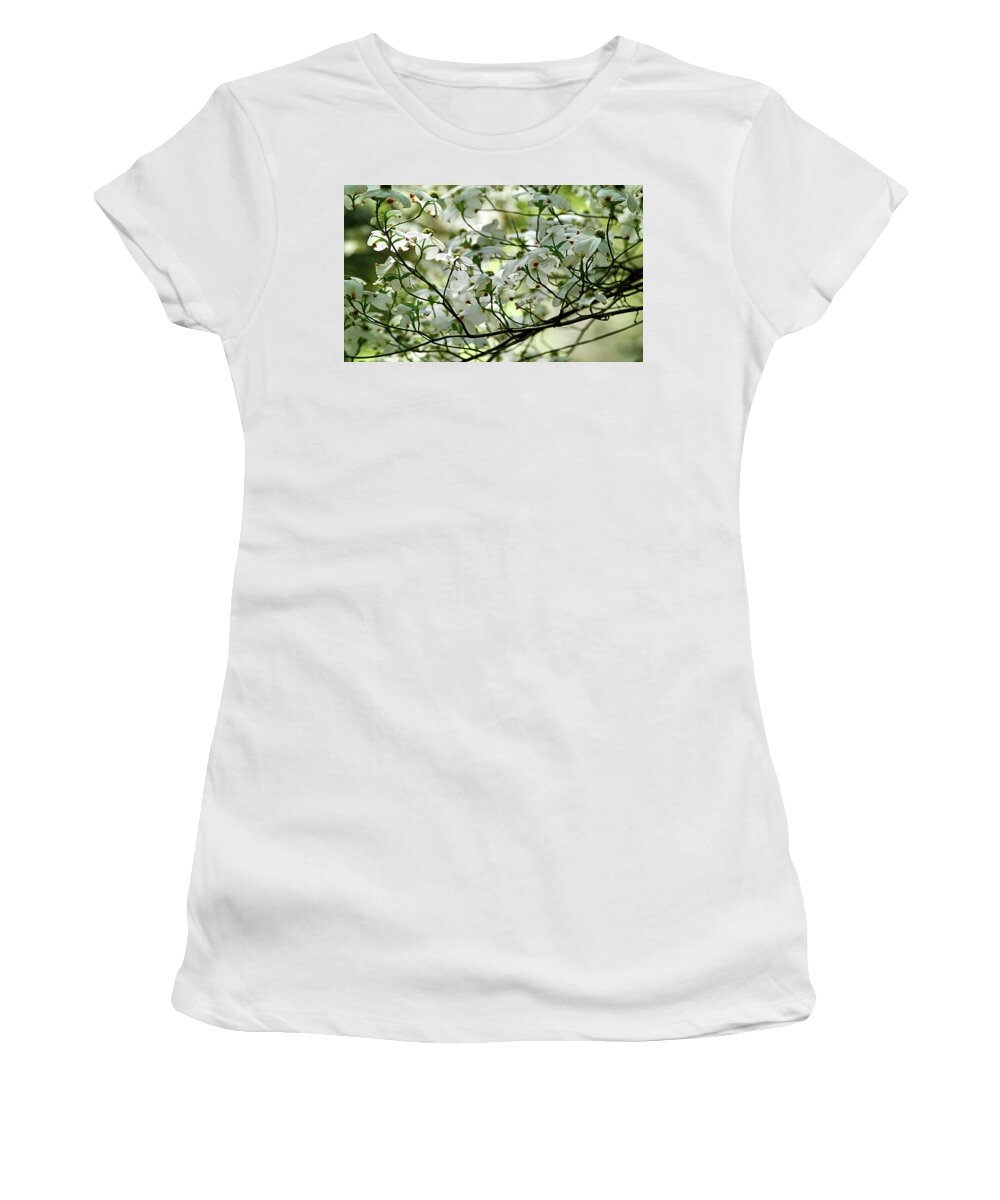 Spring Women's T-Shirt featuring the photograph Springtime by Camille Lopez
