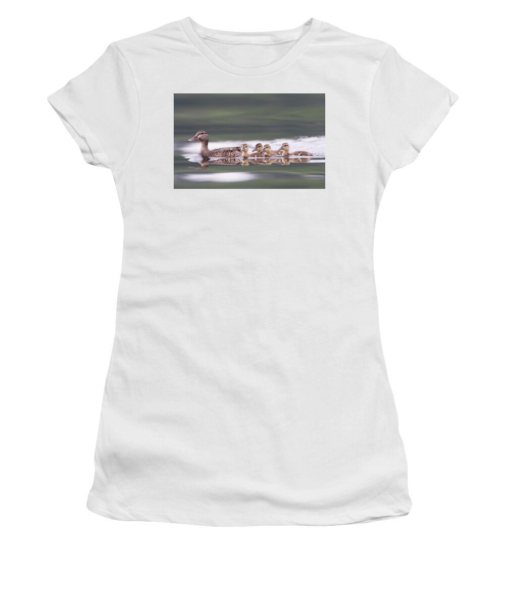 Duck Women's T-Shirt featuring the photograph Stay in line... by Ian Sempowski