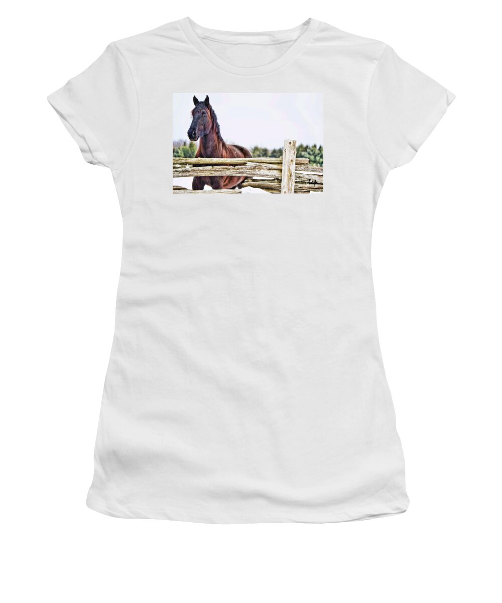 Horse Women's T-Shirt featuring the photograph Strength by Traci Cottingham