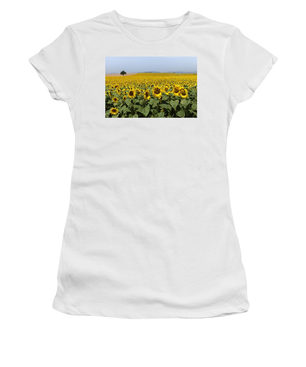 Yellow Women's T-Shirt featuring the photograph Sunflowers field by Mike Santis