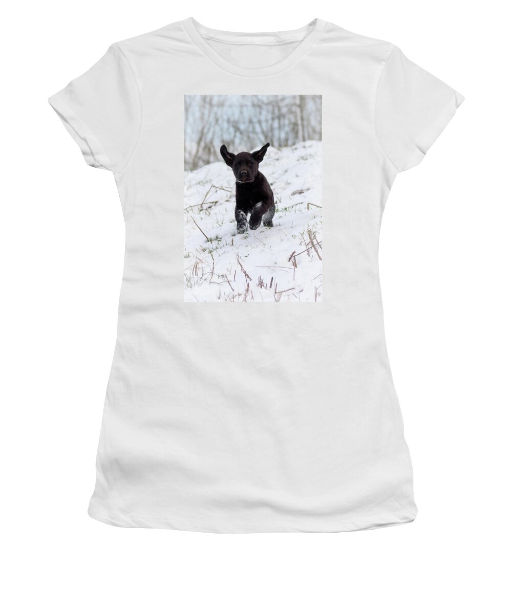 Pup Women's T-Shirt featuring the photograph Super Pup by Holden The Moment