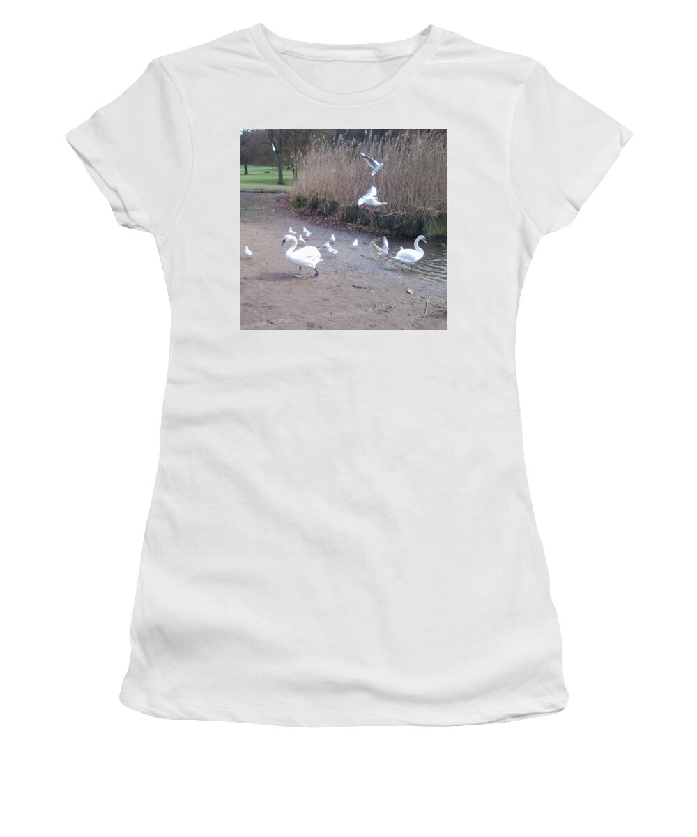 Swan Women's T-Shirt featuring the photograph Swans 4 by Julia Woodman
