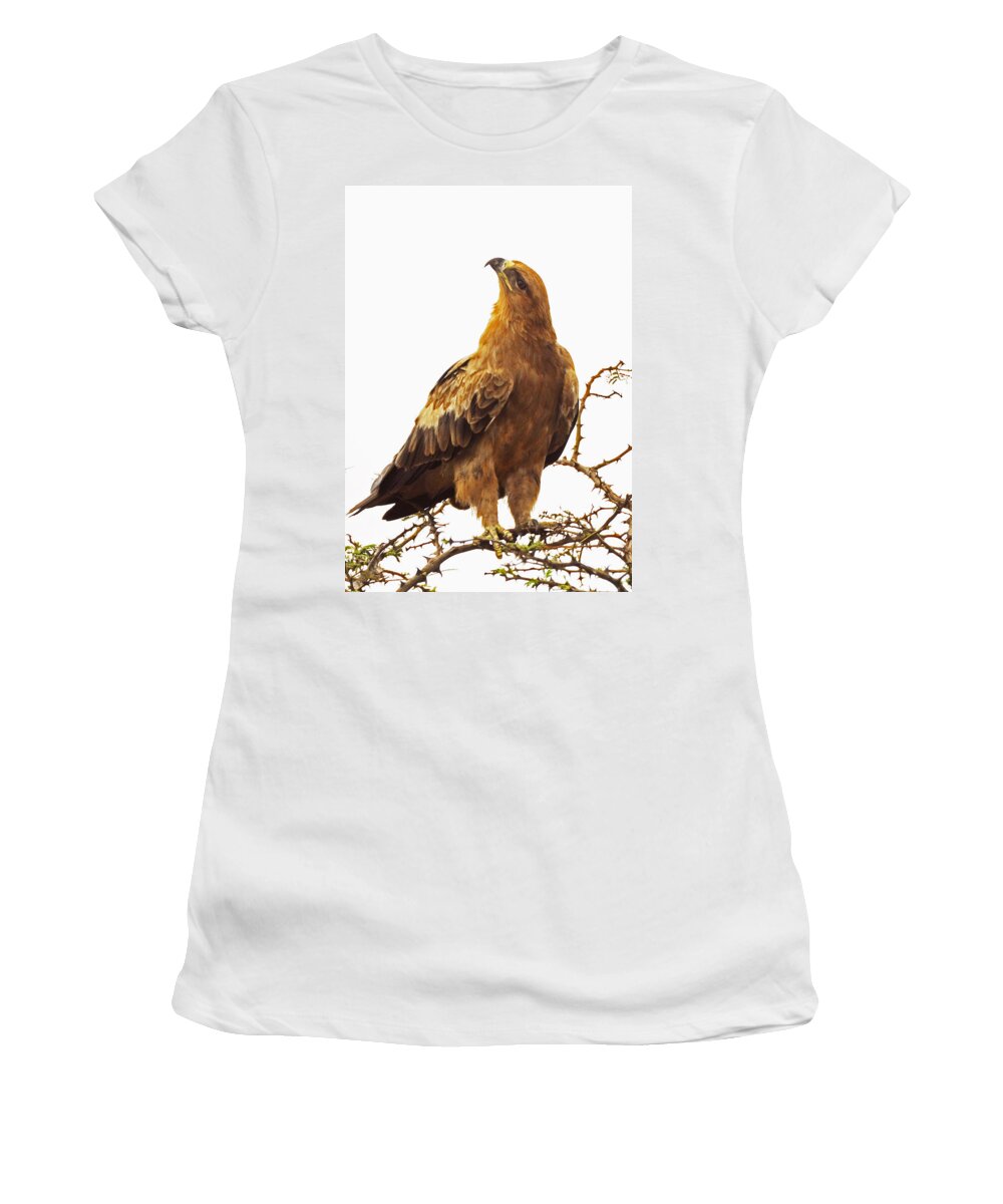 Birds Women's T-Shirt featuring the photograph Tawny Eagle by Patrick Kain
