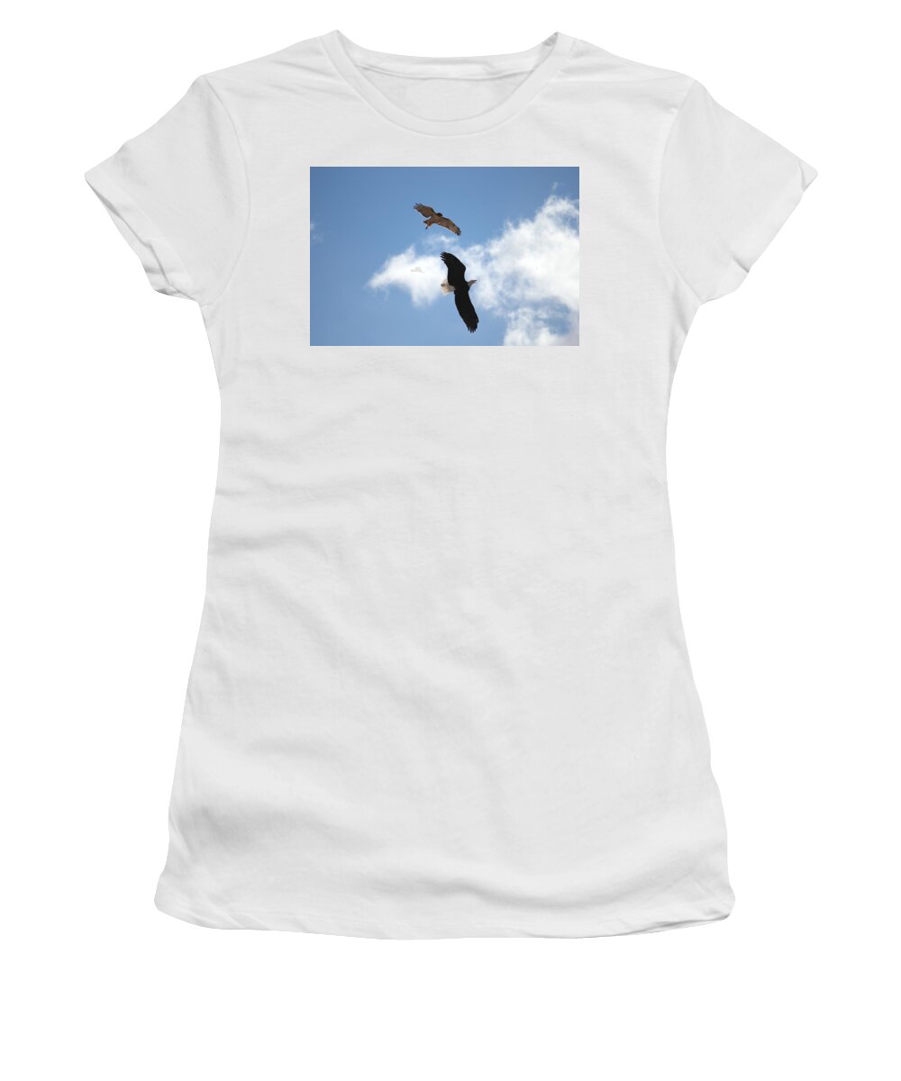Hawk Women's T-Shirt featuring the photograph Territory by Trent Mallett