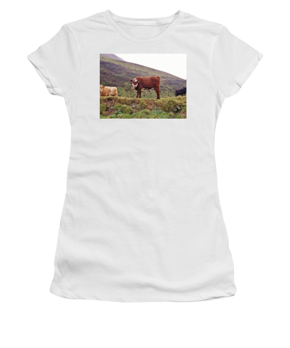 Cows Women's T-Shirt featuring the photograph That Feeling Of Being Watched by Richard Brookes