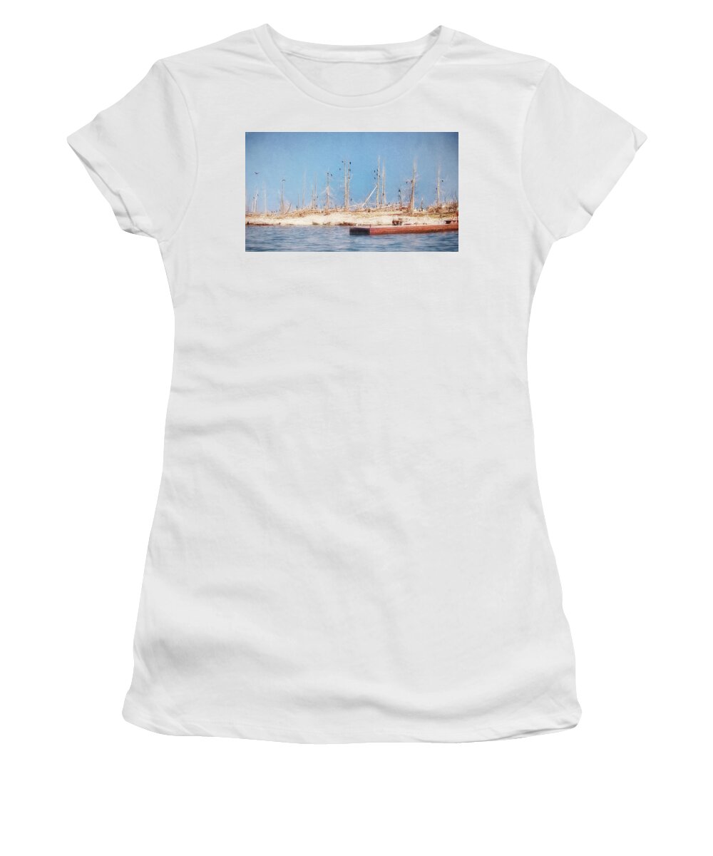 Cormorants Women's T-Shirt featuring the photograph The Cormorants at Deaths Door by Susan Rissi Tregoning
