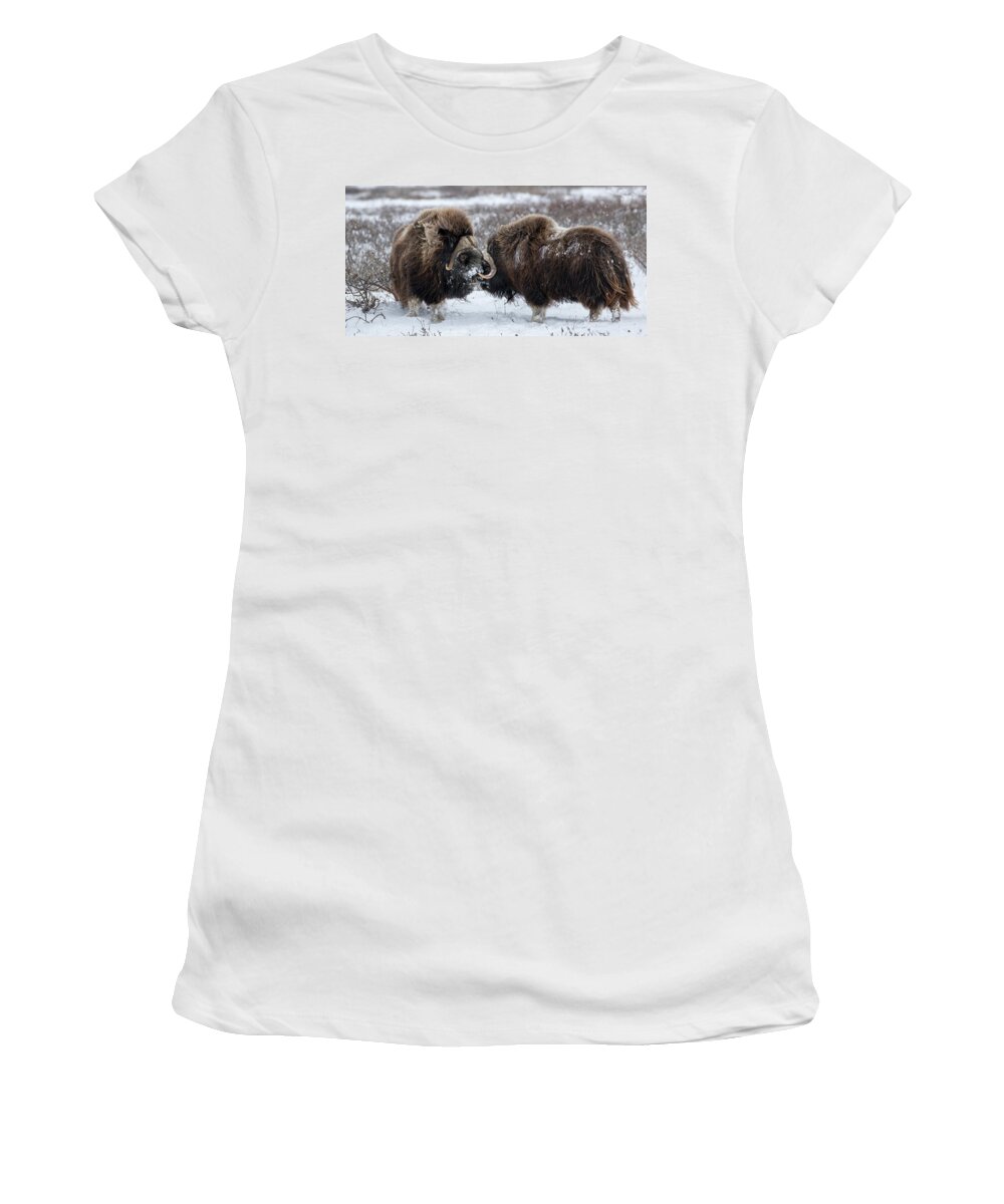 Usa Women's T-Shirt featuring the photograph The Face Off by Cheryl Strahl