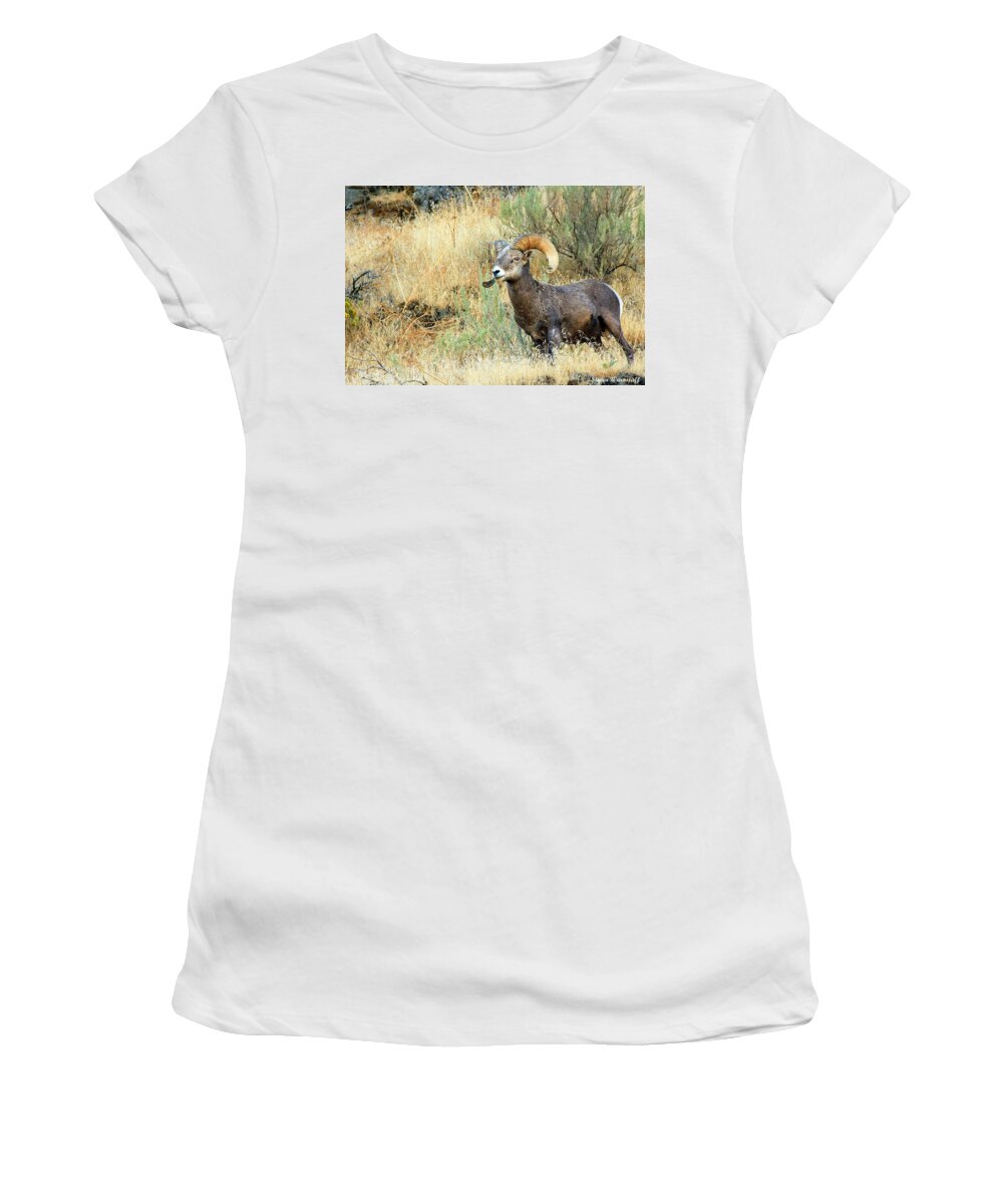 Oregon Women's T-Shirt featuring the photograph The Loner II by Steve Warnstaff