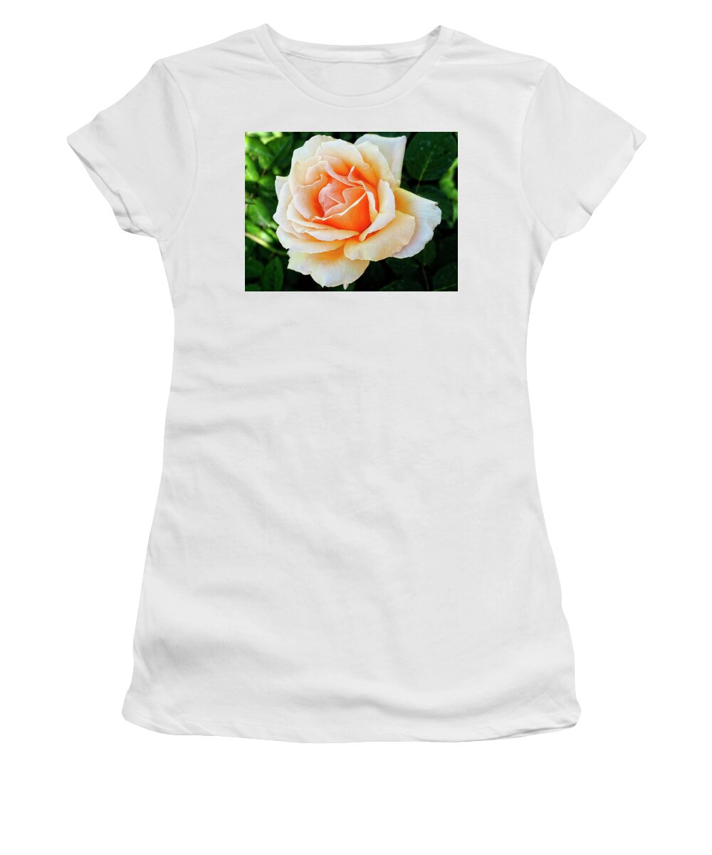 Rebecca Dru Women's T-Shirt featuring the photograph THE ROSE of BLOSSOMING LOVE by Rebecca Dru