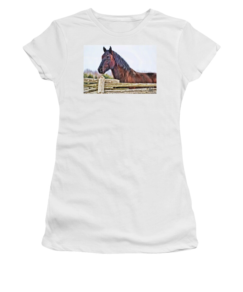 Horse Women's T-Shirt featuring the photograph The Watcher by Traci Cottingham