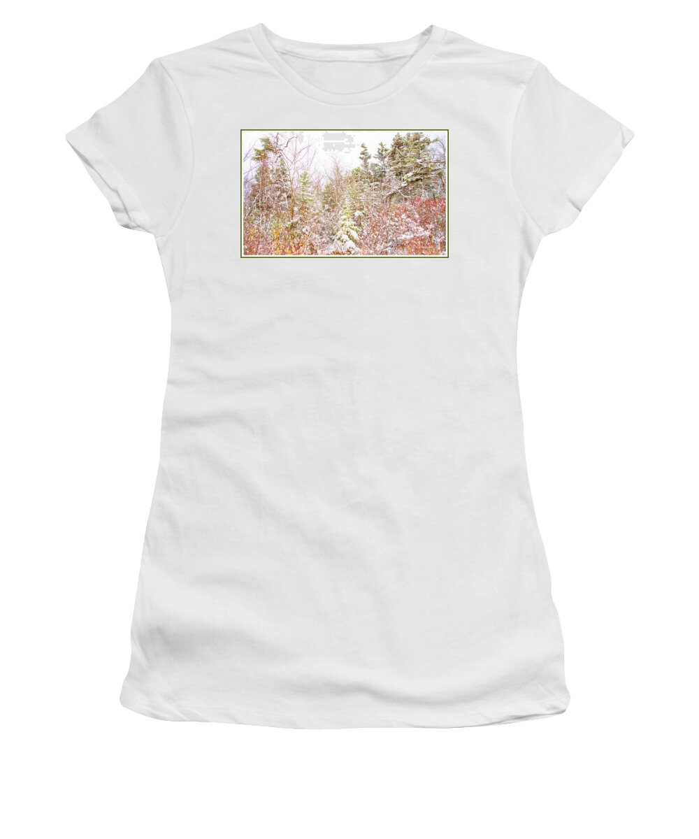 Thicket Women's T-Shirt featuring the photograph Thicket by a Country Road in Winter by A Macarthur Gurmankin