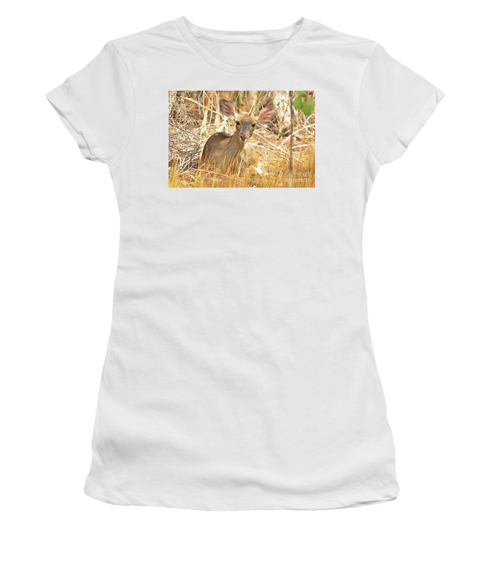 Deer Women's T-Shirt featuring the photograph Thicket by Debby Pueschel