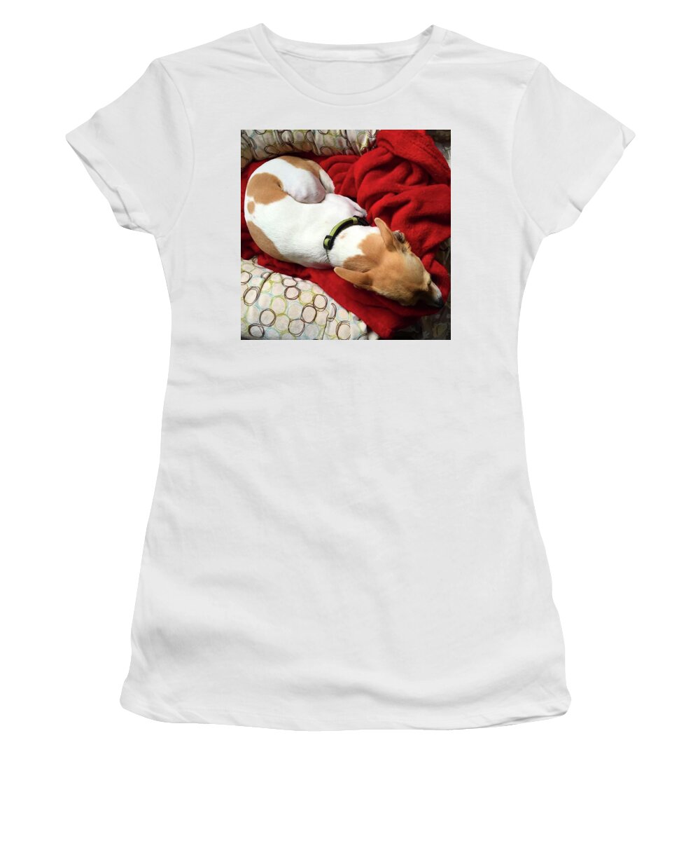 Dogoftheday Women's T-Shirt featuring the photograph This Gorgeous Girl. Either Begging For by Ginger Oppenheimer